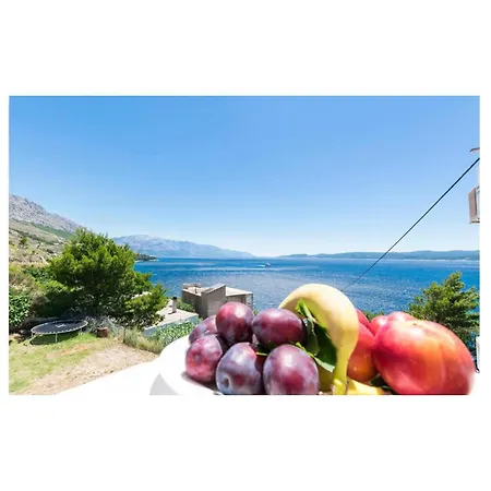 Pet Friendly In With Wifi Apartment *